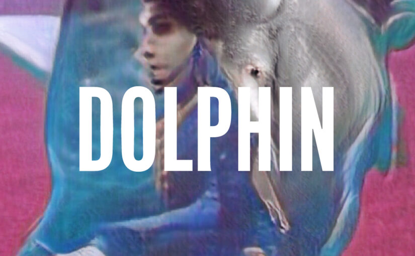 490: Dolphin